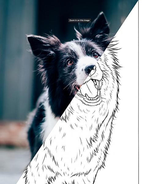Custom Coloring Page